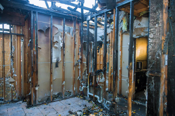 Professional Fire Damage Removal technician working in Roswell, NM